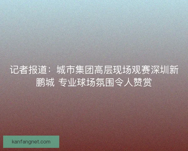 记者报道：城市集团高层现场观赛深圳新鹏城 专业球场氛围令人赞赏